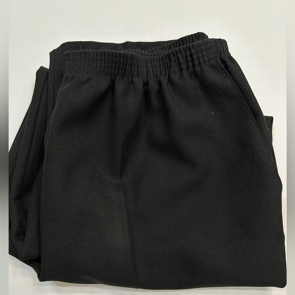 Alfred Dunner Pants Womens 16 - Picture 1 of 6